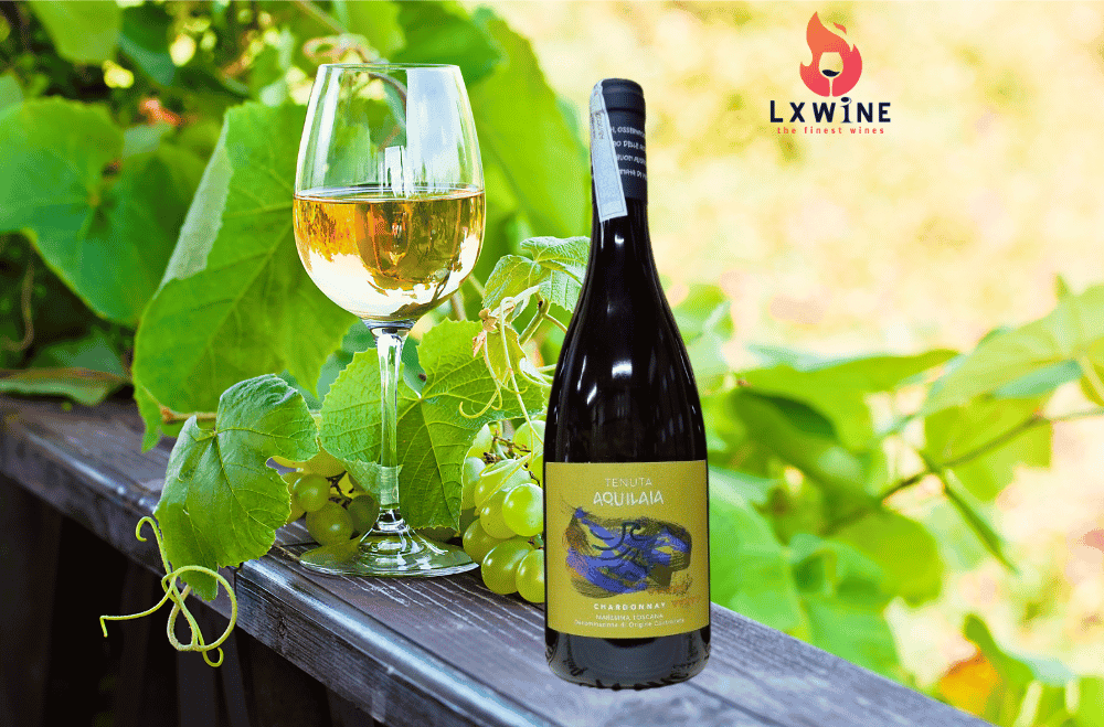 VANG MAREMMA TOSCANA CHARDONNAY